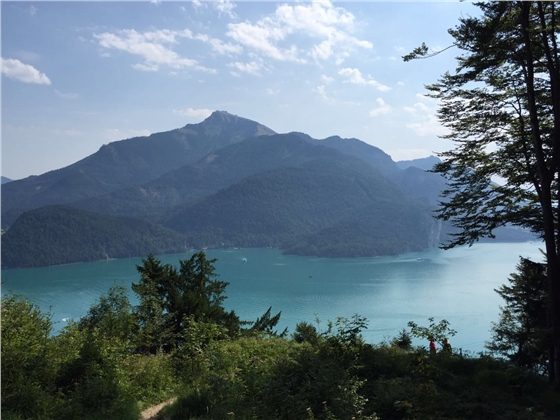 余教授奧地利鄉村行：萬(wàn)科為什么說(shuō)把奧地利小鎮搬回來(lái)？