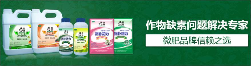 #微肥課堂#為什么葉面肥養分含量相同，效果卻不同？