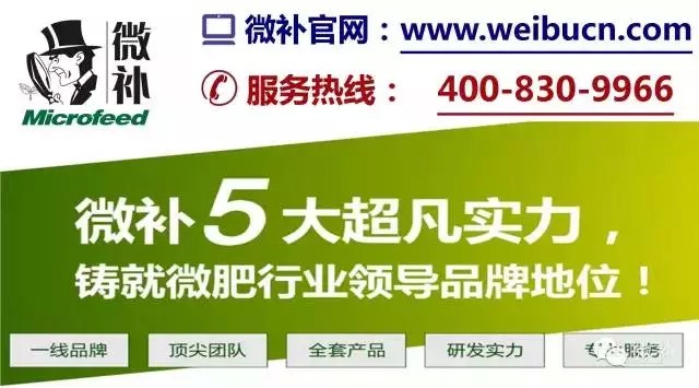 余教授奧地利鄉村行：萬(wàn)科為什么說(shuō)把奧地利小鎮搬回來(lái)？