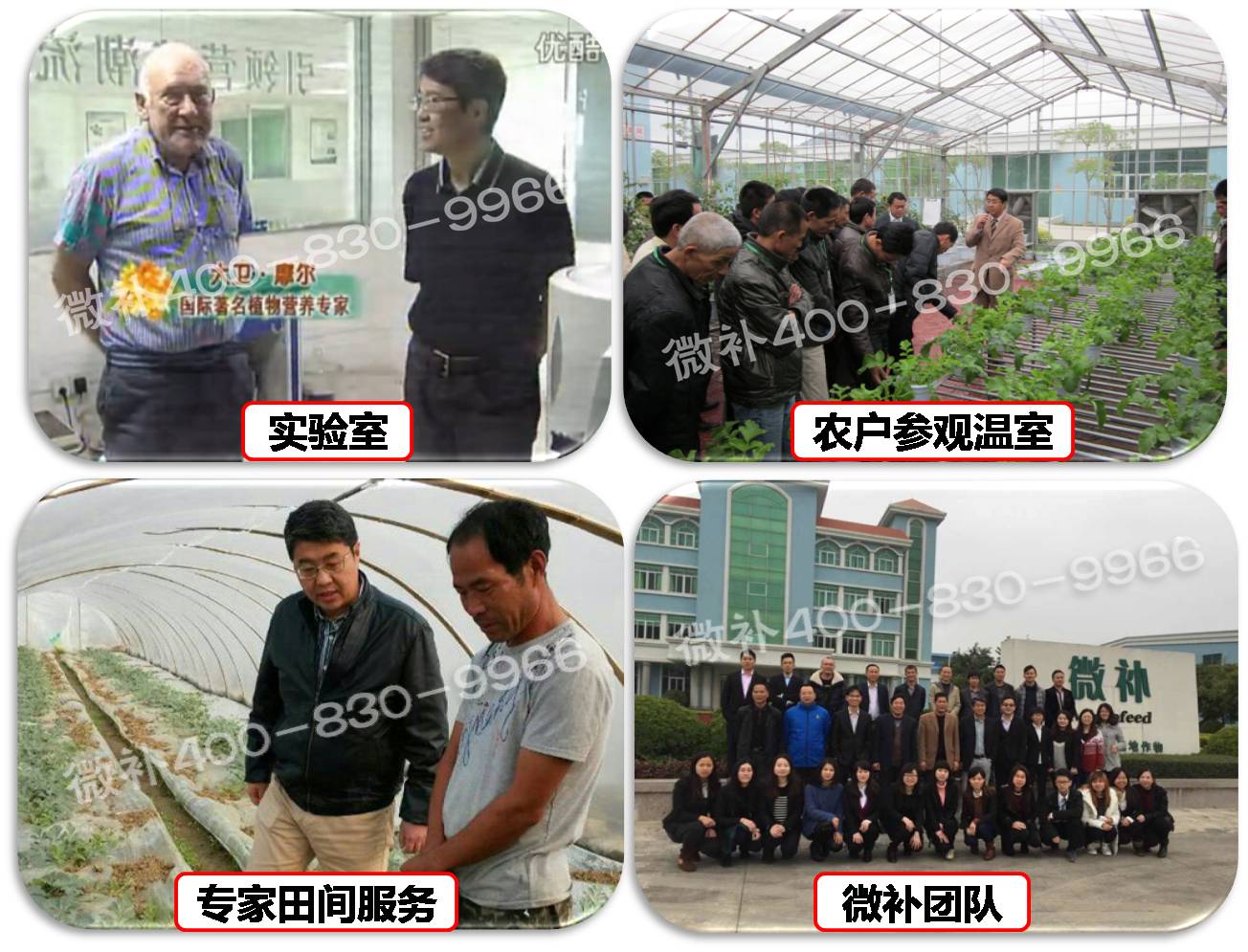 余教授奧地利維也納行：不懂音樂(lè )的農民教授，在音樂(lè )之都的感受