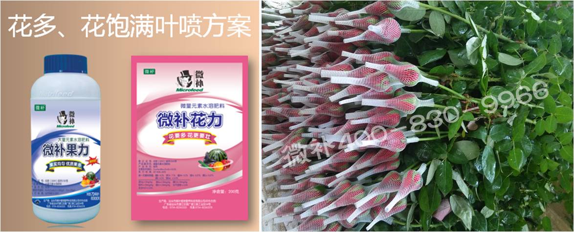 花卉也需要微補嗎？
