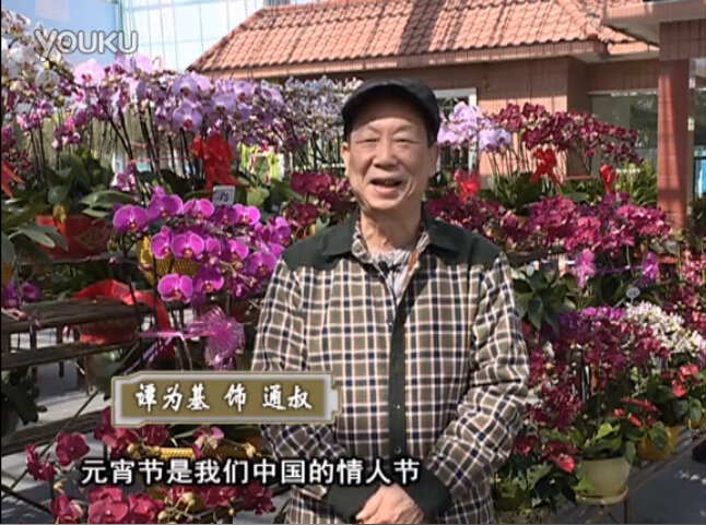 20160222珠江臺搖錢(qián)樹(shù)：用綠夫人營(yíng)養液，簡(jiǎn)單種花都能養得靚