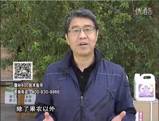 20160321珠江臺搖錢(qián)樹(shù)：柑橘用微補方案，百萬(wàn)收入不是夢(mèng)