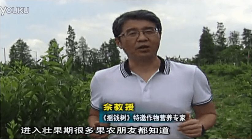 20160620珠江臺搖錢(qián)樹(shù)：柑橘淋微補調力、噴蓋力+壯力，調酸壯長(cháng)勢、膨果防裂好