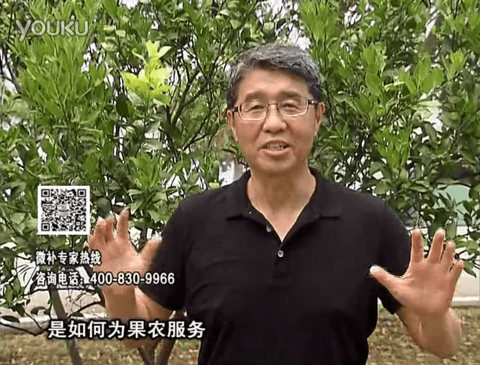 20160912珠江臺搖錢(qián)樹(shù)：針對果場(chǎng)面積、缺素營(yíng)養、設施管理、投入產(chǎn)出，微補做個(gè)性化定制服務(wù)