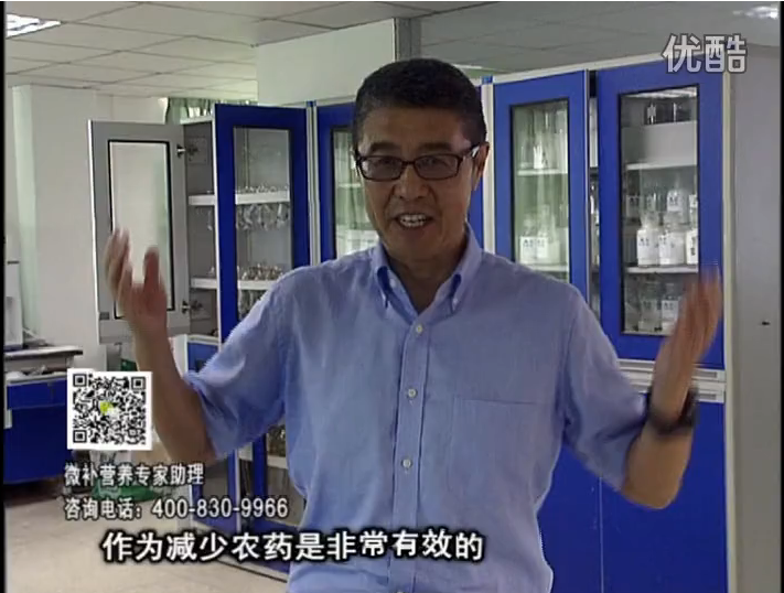 20161024珠江臺搖錢(qián)樹(shù)：種植作物調酸、平衡營(yíng)養、提高抗病力能大大降低病害發(fā)生和農藥使用量