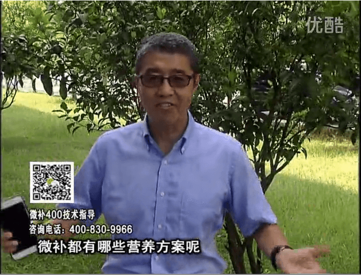 20161107珠江臺搖錢(qián)樹(shù)：微補如何制定農作物方案？一起一探究竟