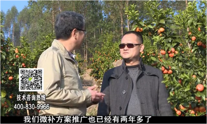 20180122珠江臺搖錢(qián)樹(shù)：廣西柑橘如何管？產(chǎn)量賣(mài)相好?