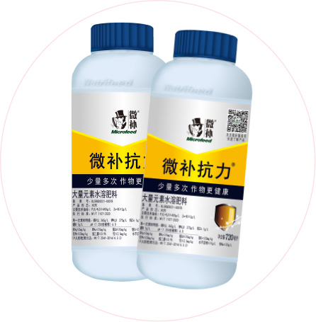 如何做好冬季清園，減少來(lái)年病蟲(chóng)害影響