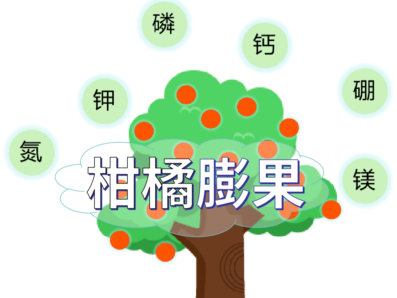 柑橘<i style='color:red'>膨果</i>慢？找準(zhǔn)原因，“對(duì)癥下藥”